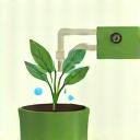 Self-Watering Planters Illustration